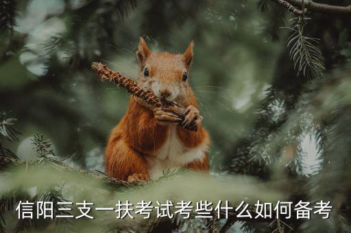 信陽三支一扶月薪多少啊,信陽三支一扶考試考些什么