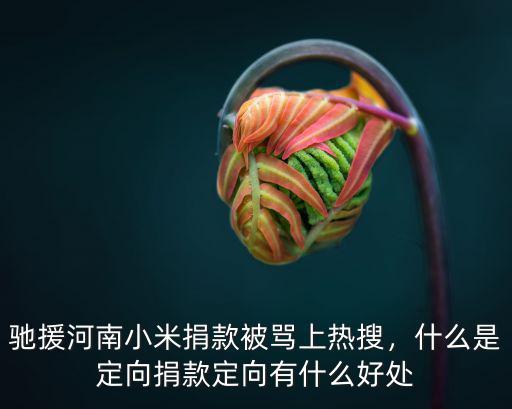 蘋果將捐款多少馳援河南,馳援河南小米捐款被罵上熱搜