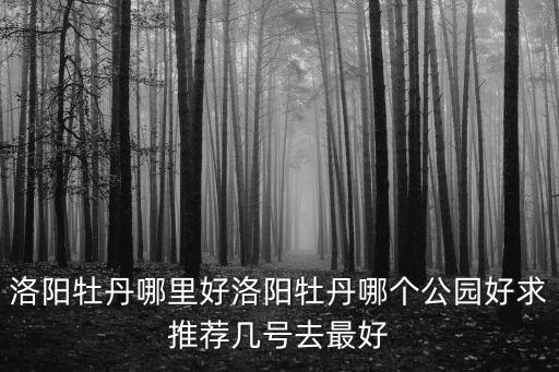 洛陽(yáng)賞牡丹租輪椅哪里好,洛陽(yáng)牡丹哪里好