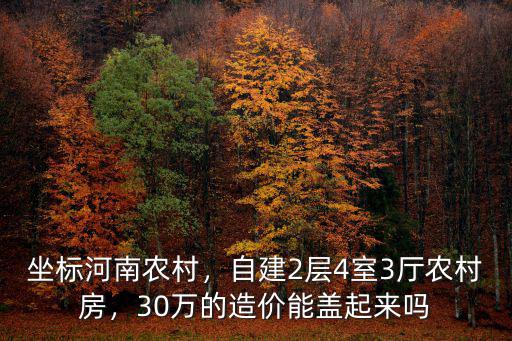 坐標河南農村，自建2層4室3廳農村房，30萬的造價能蓋起來嗎