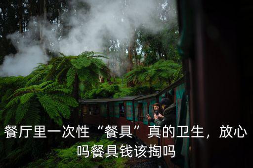 鶴壁一次性餐具多少錢,餐廳里一次性餐具真的衛生
