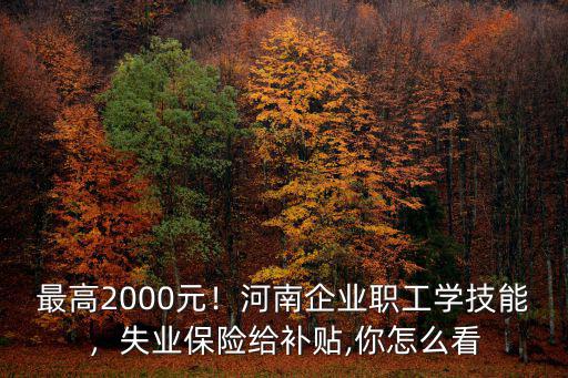 河南企業失業生活費怎么補,河南企業職工學技能