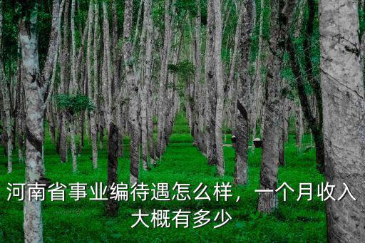 河南省事業(yè)編待遇怎么樣，一個(gè)月收入大概有多少