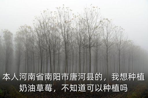 本人河南省南陽市唐河縣的，我想種植奶油草莓，不知道可以種植嗎