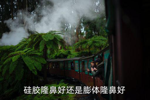 硅膠隆鼻好還是膨體隆鼻好