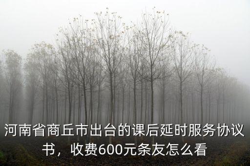 河南省商丘市出臺的課后延時服務協議書，收費600元條友怎么看