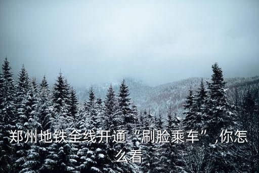 鄭州地鐵刷臉支付機器怎么使用,鄭州地鐵全線開通刷臉乘車