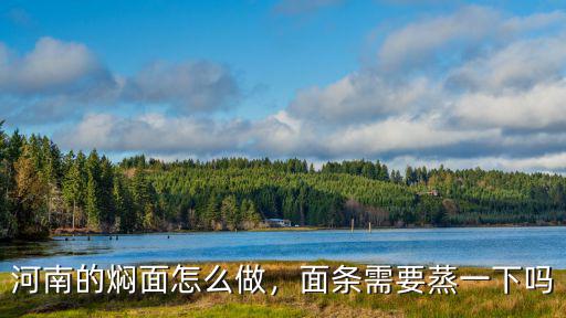 河南蒸面怎么放鍋里蒸,蒸面條怎么蒸好吃面不干