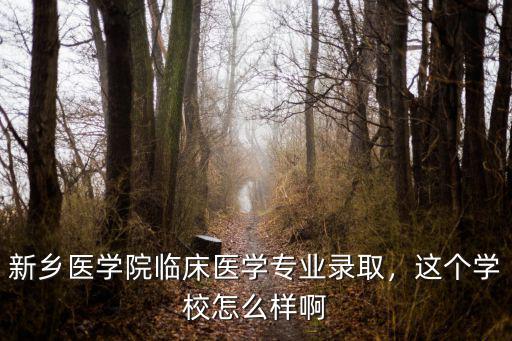 新鄉(xiāng)醫(yī)學(xué)院藥學(xué)專碩怎么樣,新鄉(xiāng)醫(yī)學(xué)院臨床醫(yī)學(xué)專業(yè)錄取