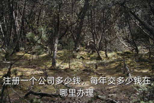 注冊(cè)一個(gè)公司多少錢，每年交多少錢在哪里辦理