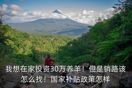 我想在家投資30萬養羊！但是銷路該怎么找！國家補貼政策怎樣