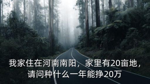 我家住在河南南陽，家里有20畝地，請問種什么一年能掙20萬
