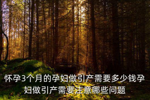 焦作做引產(chǎn)需要多少錢,大概需要多少錢