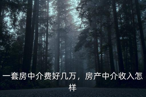 一套房中介費好幾萬，房產中介收入怎樣