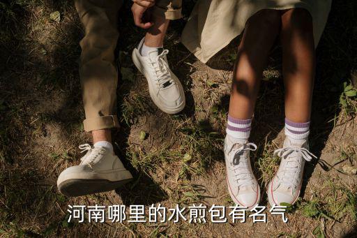河南哪里的水煎包有名氣