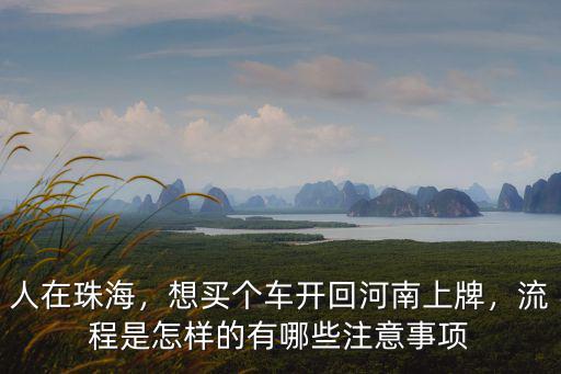 人在珠海，想買個車開回河南上牌，流程是怎樣的有哪些注意事項