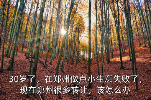 30歲了，在鄭州做點(diǎn)小生意失敗了，現(xiàn)在鄭州很多轉(zhuǎn)讓，該怎么辦