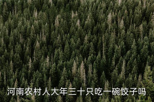 河南農村人大年三十只吃一碗餃子嗎