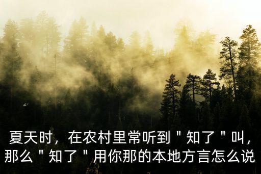 信陽方言知了怎么說,知了猴用你的家鄉話怎么說