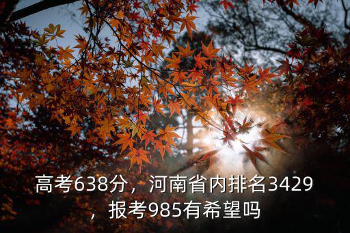 高考638分，河南省內排名3429，報考985有希望嗎