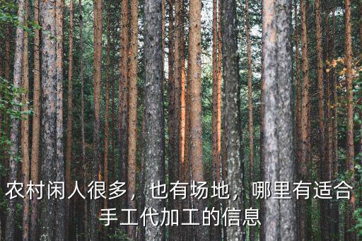 農村閑人很多，也有場地，哪里有適合手工代加工的信息