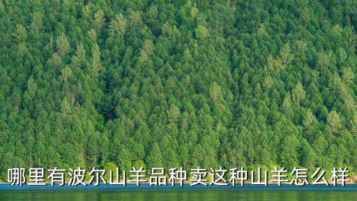 信陽(yáng)地區(qū)哪里有山羊賣,哪里有波爾山羊品種賣