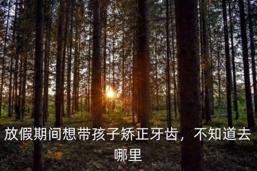 放假期間想帶孩子矯正牙齒，不知道去哪里