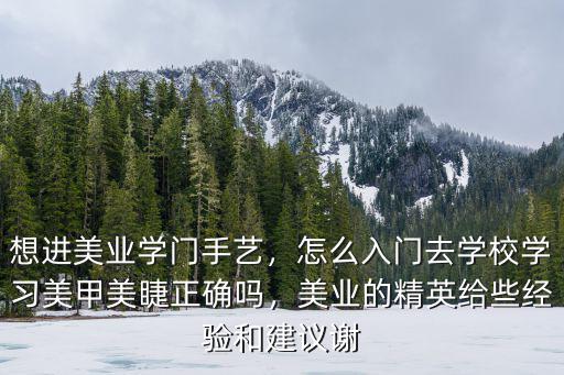 想進美業(yè)學門手藝，怎么入門去學校學習美甲美睫正確嗎，美業(yè)的精英給些經(jīng)驗和建議謝