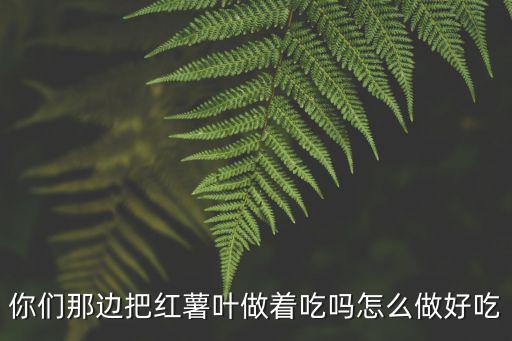 山東河南那邊的地瓜怎么做好吃啊,農村的地瓜面包子怎么做好吃