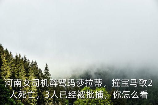 河南女司機醉駕瑪莎拉蒂，撞寶馬致2人死亡，3人已經被批捕，你怎么看