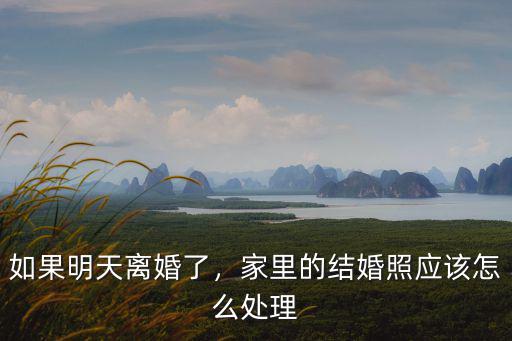 河南離婚后結婚照怎么處理,家里的結婚照應該怎么處理