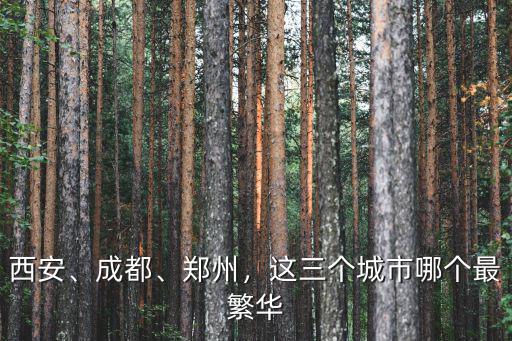 西安、成都、鄭州，這三個城市哪個最繁華
