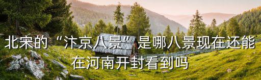 開封八景苑美食在哪里,現在還能在河南開封看到嗎