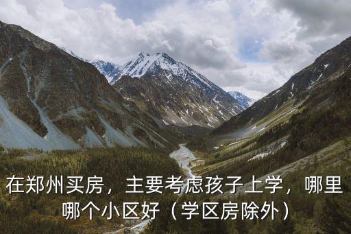 在鄭州買房，主要考慮孩子上學(xué)，哪里哪個小區(qū)好（學(xué)區(qū)房除外）