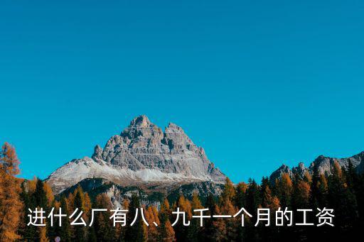 進什么廠有八、九千一個月的工資