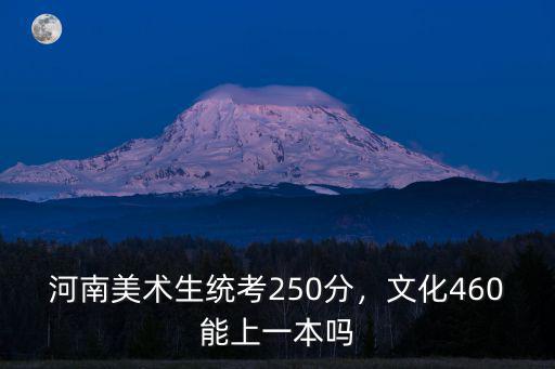 河南省文美生多少分能上一本,文化460能上一本嗎