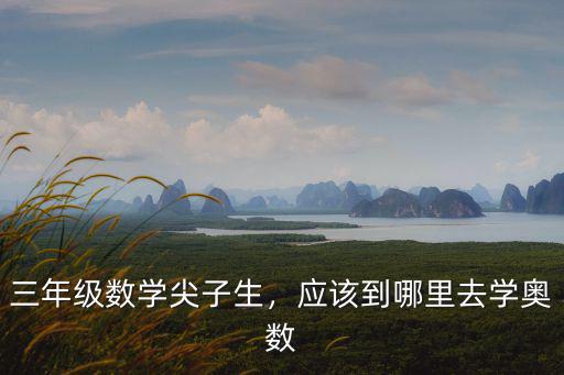 三年級數學尖子生，應該到哪里去學奧數