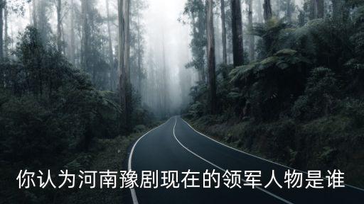 河南陳琳琳現在唱的怎么樣,河南蒲劇發展怎么樣