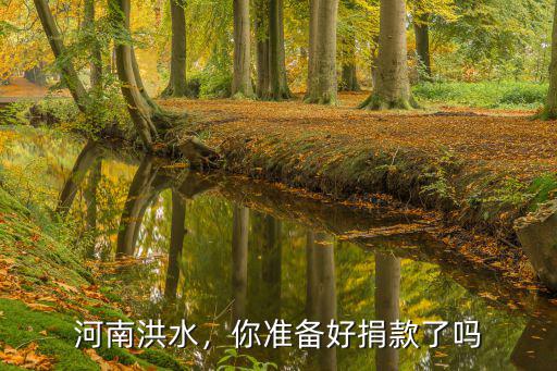 河南洪災天瑞捐款多少,河南洪災你捐款了嗎