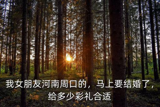 我女朋友河南周口的，馬上要結婚了，給多少彩禮合適
