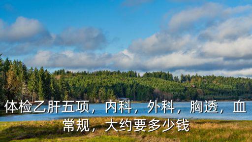 鄭州胸透乙肝五項多少錢,體檢乙肝五項