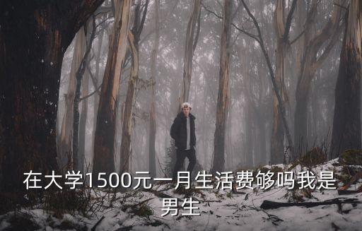 在大學(xué)1500元一月生活費(fèi)夠嗎我是男生