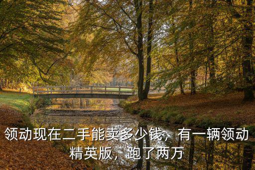領(lǐng)動(dòng)現(xiàn)在二手能賣多少錢，有一輛領(lǐng)動(dòng)精英版，跑了兩萬
