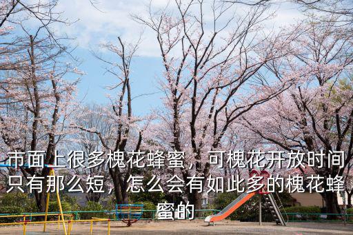 市面上很多槐花蜂蜜，可槐花開放時間只有那么短，怎么會有如此多的槐花蜂蜜的