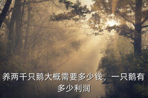 河南養(yǎng)鵝補貼多少錢一只,一只鵝有多少利潤