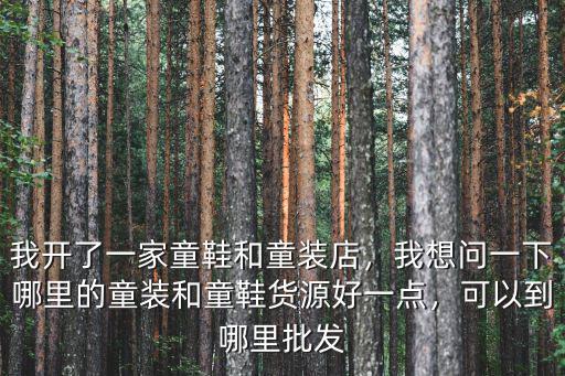 許昌童裝店在哪里批發(fā),想開個(gè)童裝店