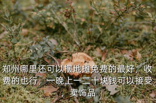 鄭州哪里還可以擺地攤免費的最好，收費的也行，一晚上一二十塊錢可以接受，賣飾品