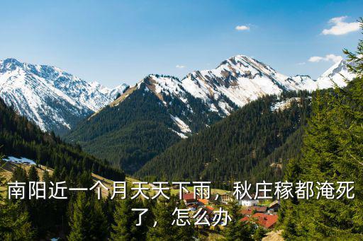 河南南陽(yáng)下雨怎么了,河南為什么總是下雨