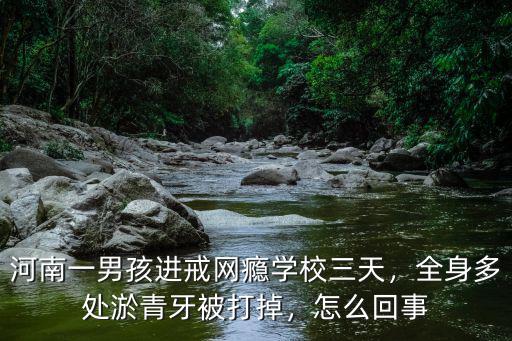 河南一男孩進(jìn)戒網(wǎng)癮學(xué)校三天，全身多處淤青牙被打掉，怎么回事