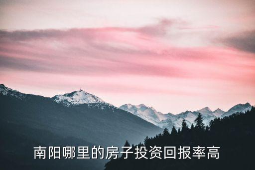 南陽哪里的房子投資回報率高